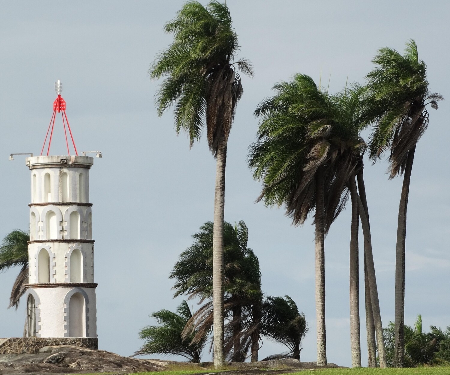 Guyane : le SAMU 973 choisi Staying Alive